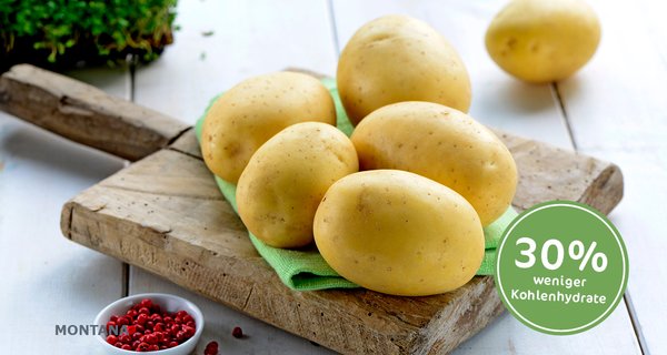 EUROPLANT Lower Carb Speisekartoffeln