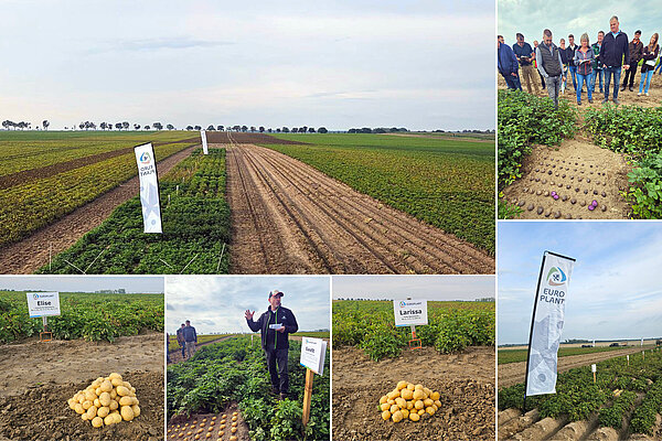 Impressionen EUROPLANT VIP-Feldtag in Oehna
