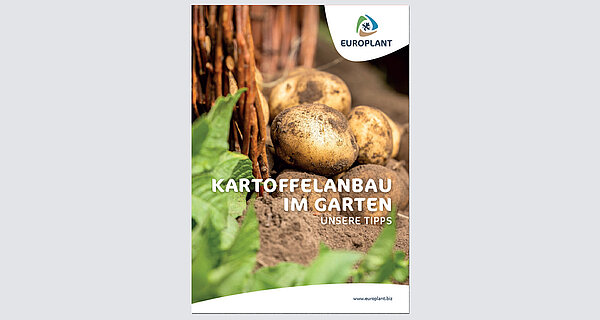 EUROPLANT Kartoffelanbau im Garten