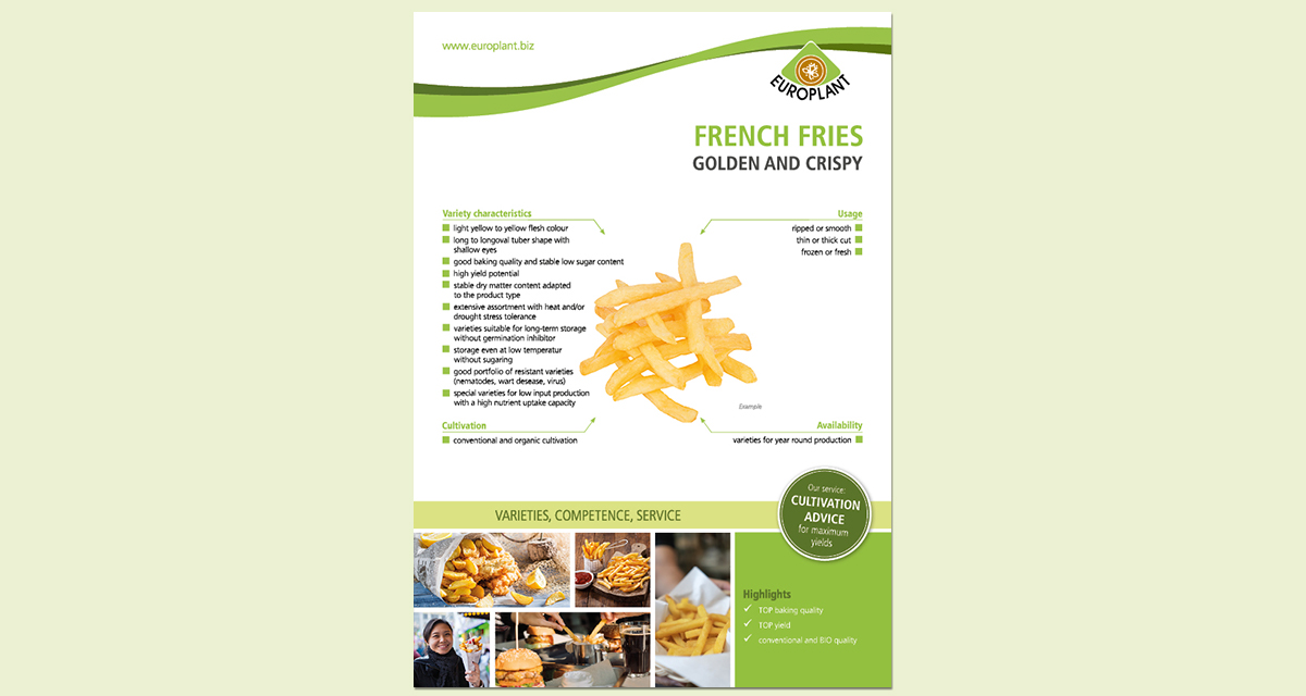 EUROPLANT french fries