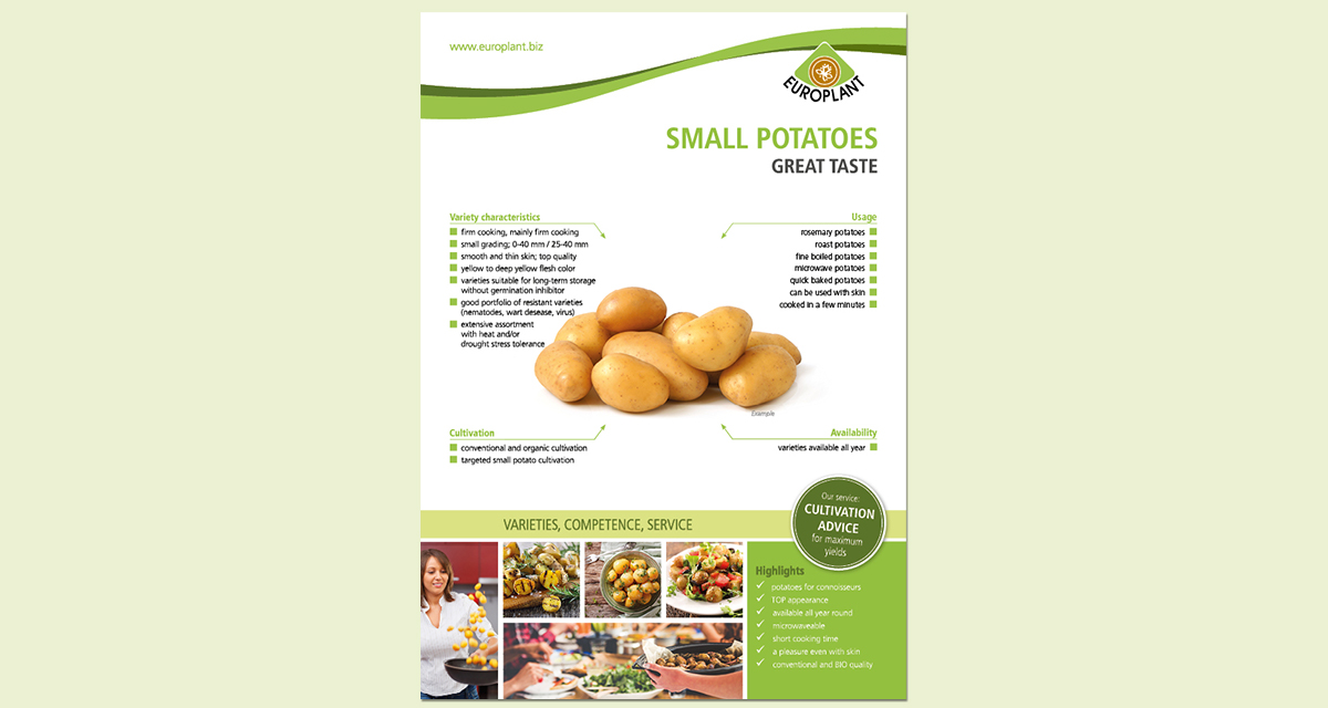 EUROPLANT small potatoes