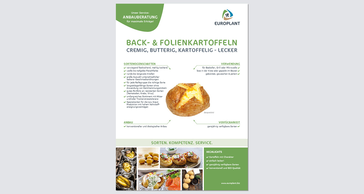 EUROPLANT Backkartoffeln
