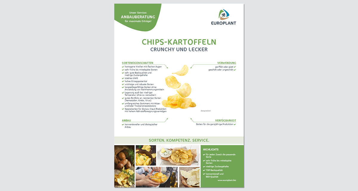 EUROPLANT Chips-Kartoffeln