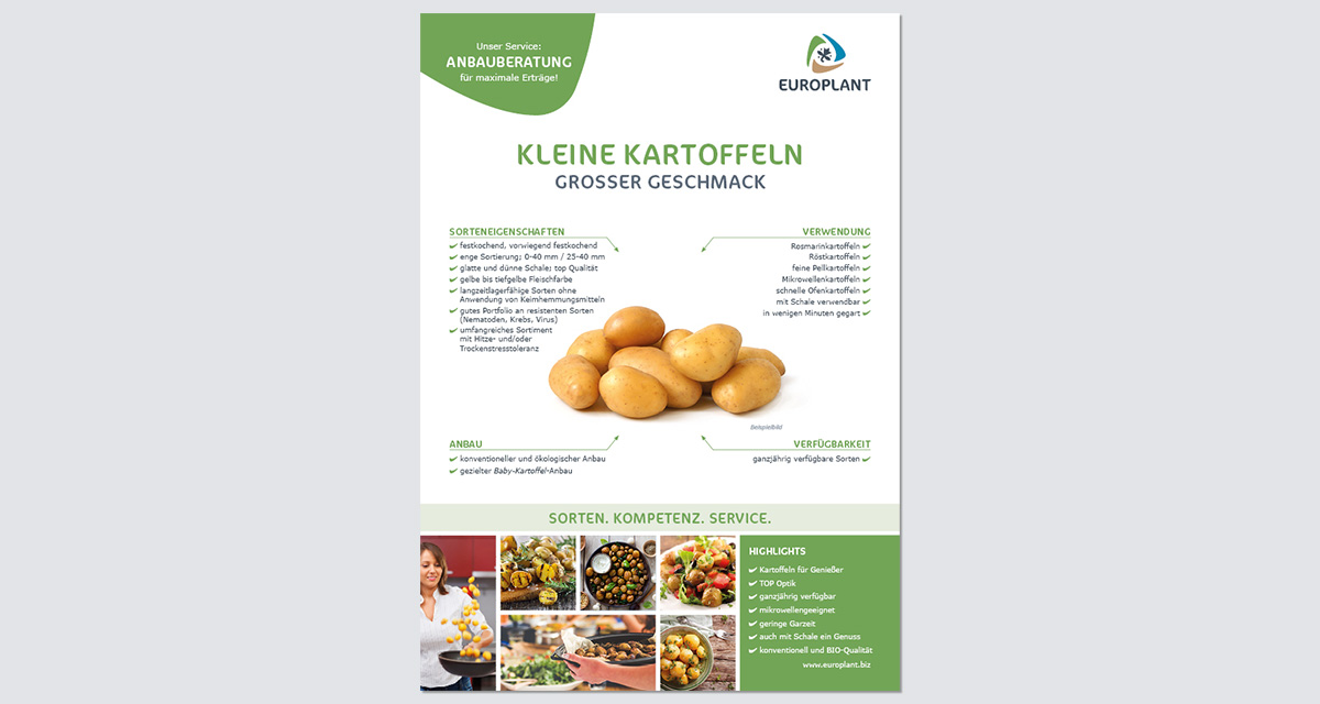 EUROPLANT kleine Kartoffeln