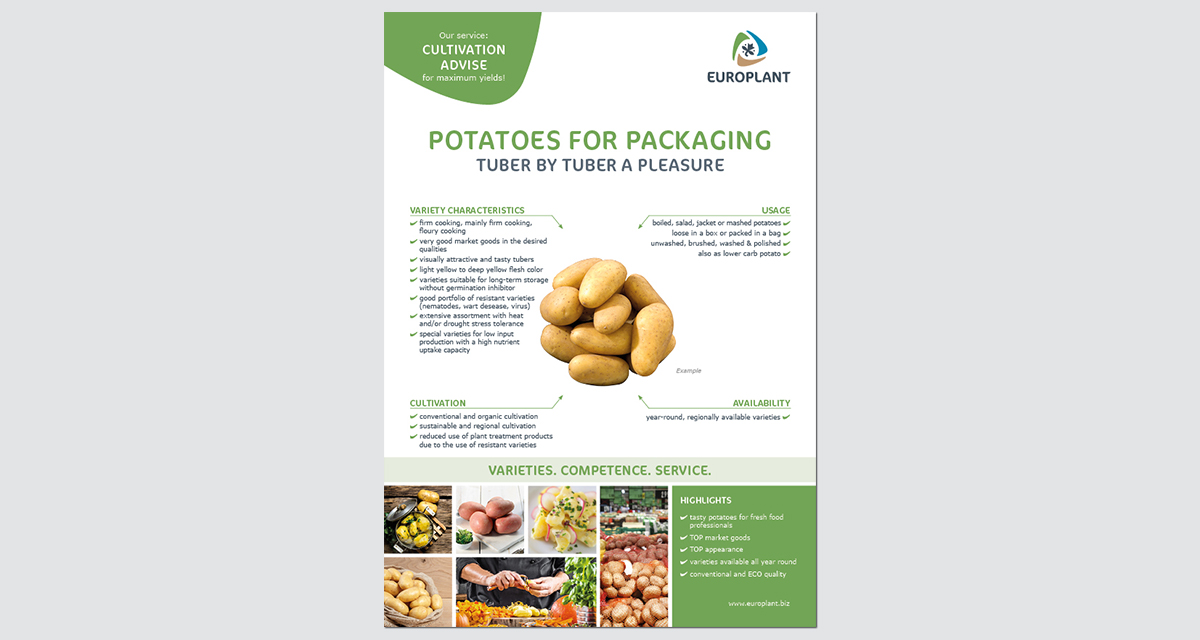 EUROPLANT potatoes for packaging