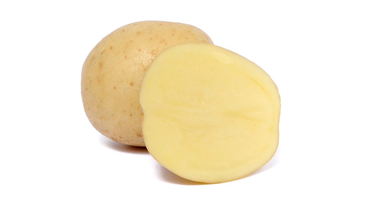 EUROPLANT crisp potato FAVOLA